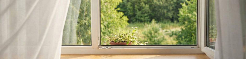 Sunlit window with flowing curtains at the edges, fresh green trees and gentle morning light outside, inviting mindful breathing and reflection